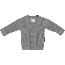 Baby's Only Vestje Soul - Grijs - 80 - 100% ecologisch katoen