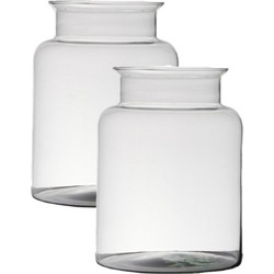 2x stuks transparante home-basics vaas/vazen van glas 25 x 19 cm - Vazen