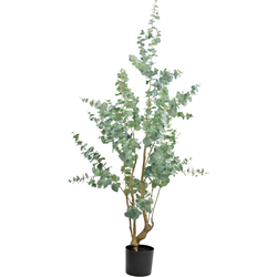 Hoyz Greenery - Kunstplant Eucalyptus 180 cm