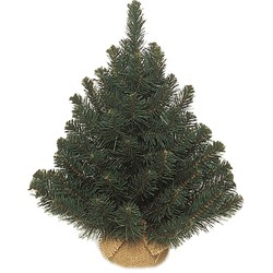 Triumph Tree Alpine Kunstkerstboom in Jute - H60 x Ø51 cm - Groen