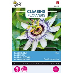 3 stuks - Flowering climbers passiflora caerulea