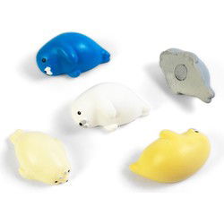 Trendform Magneten Robby - set van 5 - multicolor