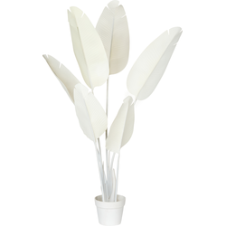 BANANA TREE - Kunstplant - Wit - 123 cm - Synthetisch materiaal