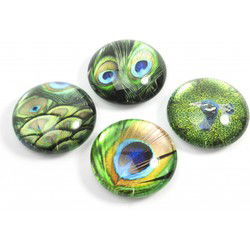 Trendform Magnet Eye - Pauw - set van 4 verschillende