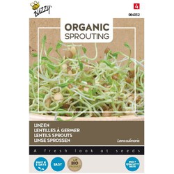 Organic Sprouting Linzen (BIO)