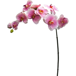 Felroze kunstmatige phalaenopsis orchideestam H105