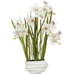 Mica Decorations Kunstplant Cymbidium - 49x40x81 cm - Polyester - Creme