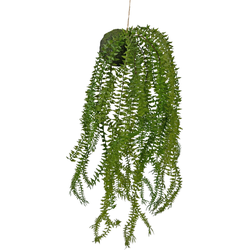 Hoyz Greenery - Kunst hangplant Phlegmariurus bal 50 cm