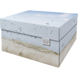 Dutch Design Brand Opbergdoos met Deksel - Doos in Karton - Geschenkdoos - 39x31x21cm - Texel Dunes - 1 Stuk