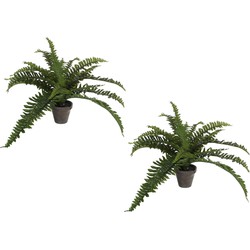 2x stuks boston Varen kunstplanten groen in grijze pot H35 cm x D45 cm - Kunstplanten