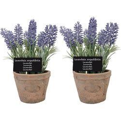 True to Nature Kunstplant - 2x - lavendel - in terracotta pot - 23 cm - Kunstplanten