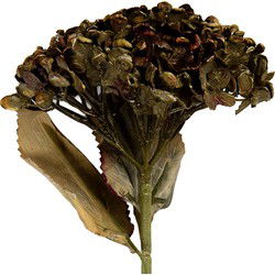 Clayre & Eef Kunstbloem 47 cm Groen Kunststof