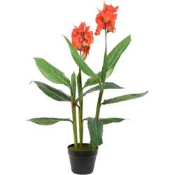 Canna Bloemriet nepplanten/planten 89 cm met zwarte pot - Kunstplanten