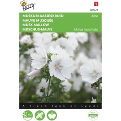 5 stuks - Malva, Kaasjeskruid Alba wit