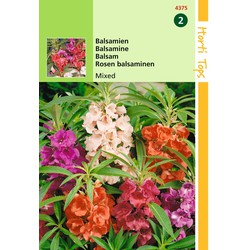 2 stuks - Samen Impatiens Balsamien gefüllte Blüten gemischt - Hortitops