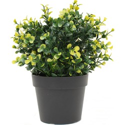 Kunstplant Buxus geel in pot UV