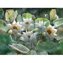 Lotusbloemen 70x50cm Tuinschilderij