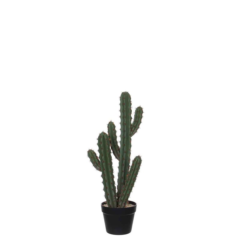Mica Decorations cactus in plastic pot maat in cm: 23 x 18 x 71cm - 