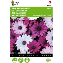 5 stuks - Osteospermum Akila mix Spaanse Margriet Tuinplus