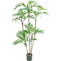 Greenmoods Parlour Deluxe - Nep plant - 1 Stuk - 120cm  -