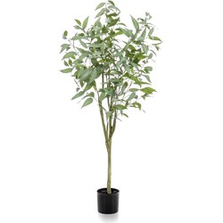 Cozy Ibiza - Eucalyptus globulus kunstplant 150 cm