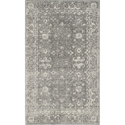 Safavieh Transitional Indoor Geweven Vloerkleed, Evoke Collectie, EVK270, in Grijs & Ivoor, 91 X 152 cm