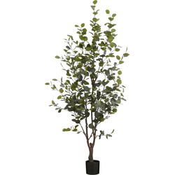 Mica Decorations Kunstplant Eucalyptusboom in Pot - H180 x Ø80 cm - Groen