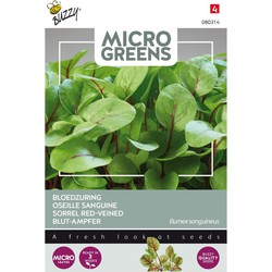 5 stuks - Seeds Microgreens Blutsauerampfer - Buzzy