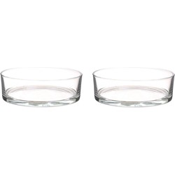 2x Lage glazen schalen transparant glas cilindervormig 8 x 25 cm - Vazen