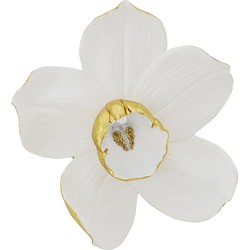 Kare Wanddecoratie Orchid Wit 44 cm