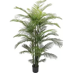 Areca-Palme Große Kunstpflanze - Buitengewoon de Boet