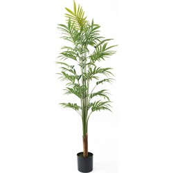 Kunstplant Gold Palm Tree Large - Groen - 65x65x160cm