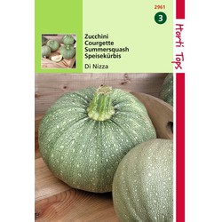 2 stuks - Courgette De Nice A Fruit Rond