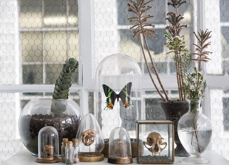 Trend: Beestenboel in huis