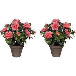 2x Groene Azalea kunstplanten met perzikkleurige bloemen 27 cm met pot stan grey - Kunstplanten