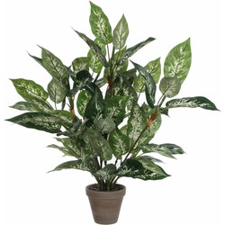 Groene Dieffenbachia kunstplant 70 cm met pot - Kunstplanten