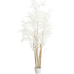 Light & Living - Kunstplant BAMBOO - 70x60x150cm - Bruin