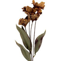Clayre & Eef Kunstbloem 60 cm Bruin Kunststof