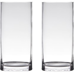 Set van 2x stuks glazen bloemen cylinder vaas/vazen 35 x 15 cm transparant - Vazen
