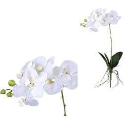 PTMD Kunstbloem Orchid - 60x30x74 cm - Polyester - Wit