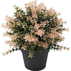 Kunstplant Buxus roze 22 cm UV