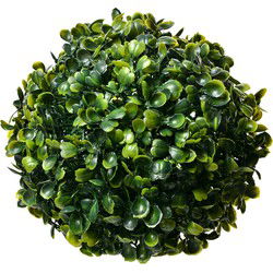Clayre & Eef Buxus bol Groen Kunststof