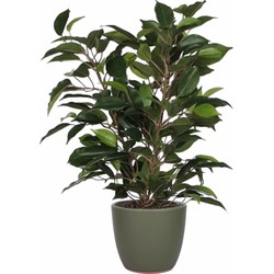 Groene ficus kunstplant 40 cm met plantenpot dennengroen D13.5 en H12.5 cm - Kunstplanten