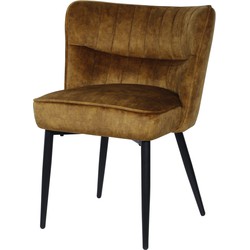 PTMD Marth Brown dining chair