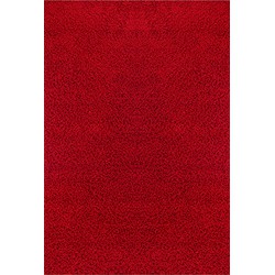 Hoogpolig Shaggy Tapijt LILLY - Rood - 200x290 cm