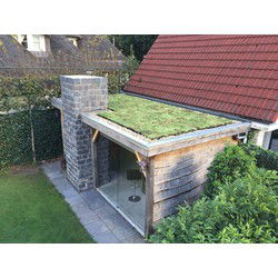 Plantenmat vasteplanten cassette Vetkruid Sedum dak prijs per 1m2 cm Covergreen