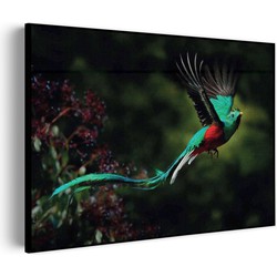 Muurwerken Akoestisch Schilderij - Schitterende Vliegende Quetzal Vogel - Geluidsdempend Wandpaneel - Wanddecoratie - Geluidsisolatie - PRO (AW 0.90) XXL (150x107)