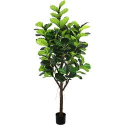 Ficus Lyrata 210 cm Kunstpflanze - Buitengewoon de Boet