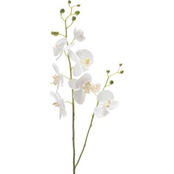 Emerald Kunstbloem Orchidee - 95 cm - wit - losse tak - kunst zijdebloem - Phalaenopsis - Kunstbloemen