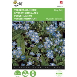 2 stuks - Myosotis alpestris Blauw vergeet me niet